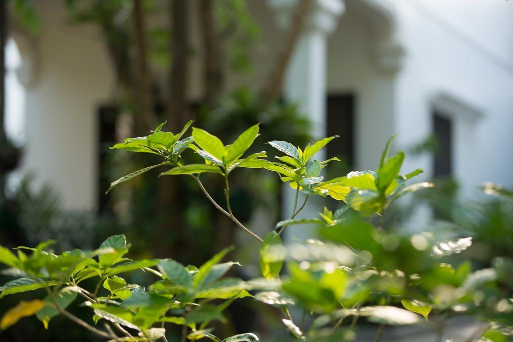 Sonalong Boutique Village & Resort Σιέμ Ρέαπ Εξωτερικό φωτογραφία